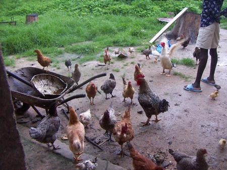 c'est chez moi au village