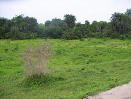 la devanture de la maison