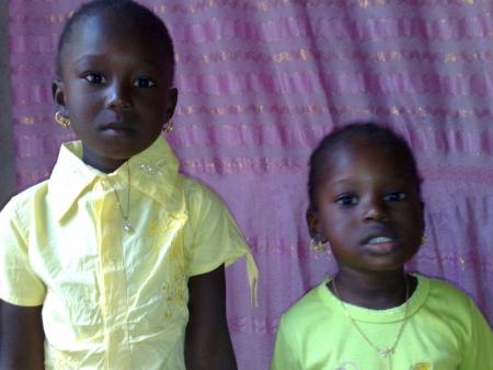 mes bouts de bois de dieu